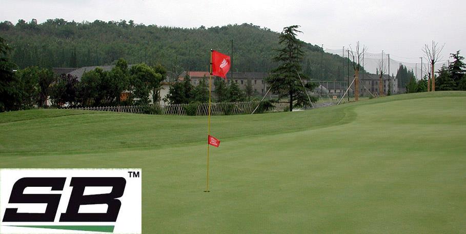旗杆 Flagstick